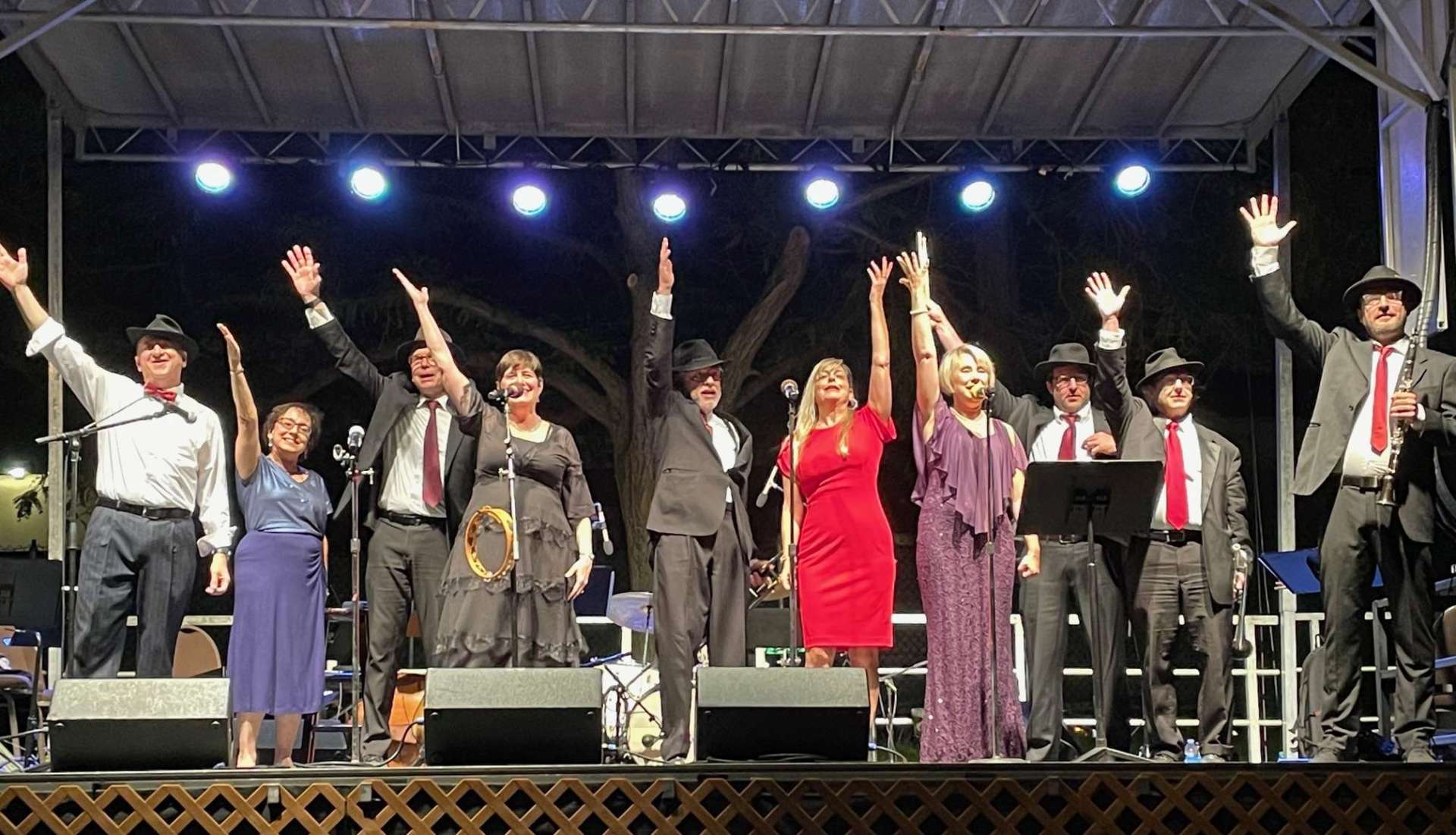 Lori Lippitz Maxwell Street Klezmer Band promotional image 1
