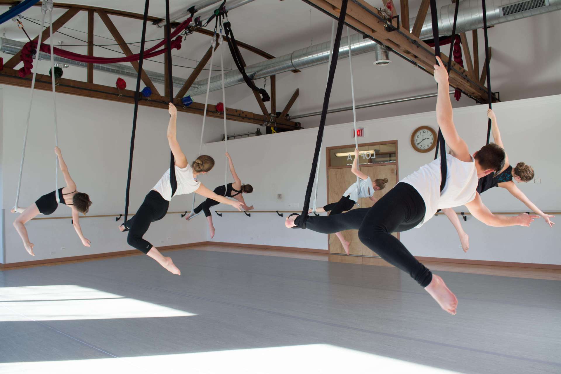 Aerial Aerial Dance Chicago promotional image 1