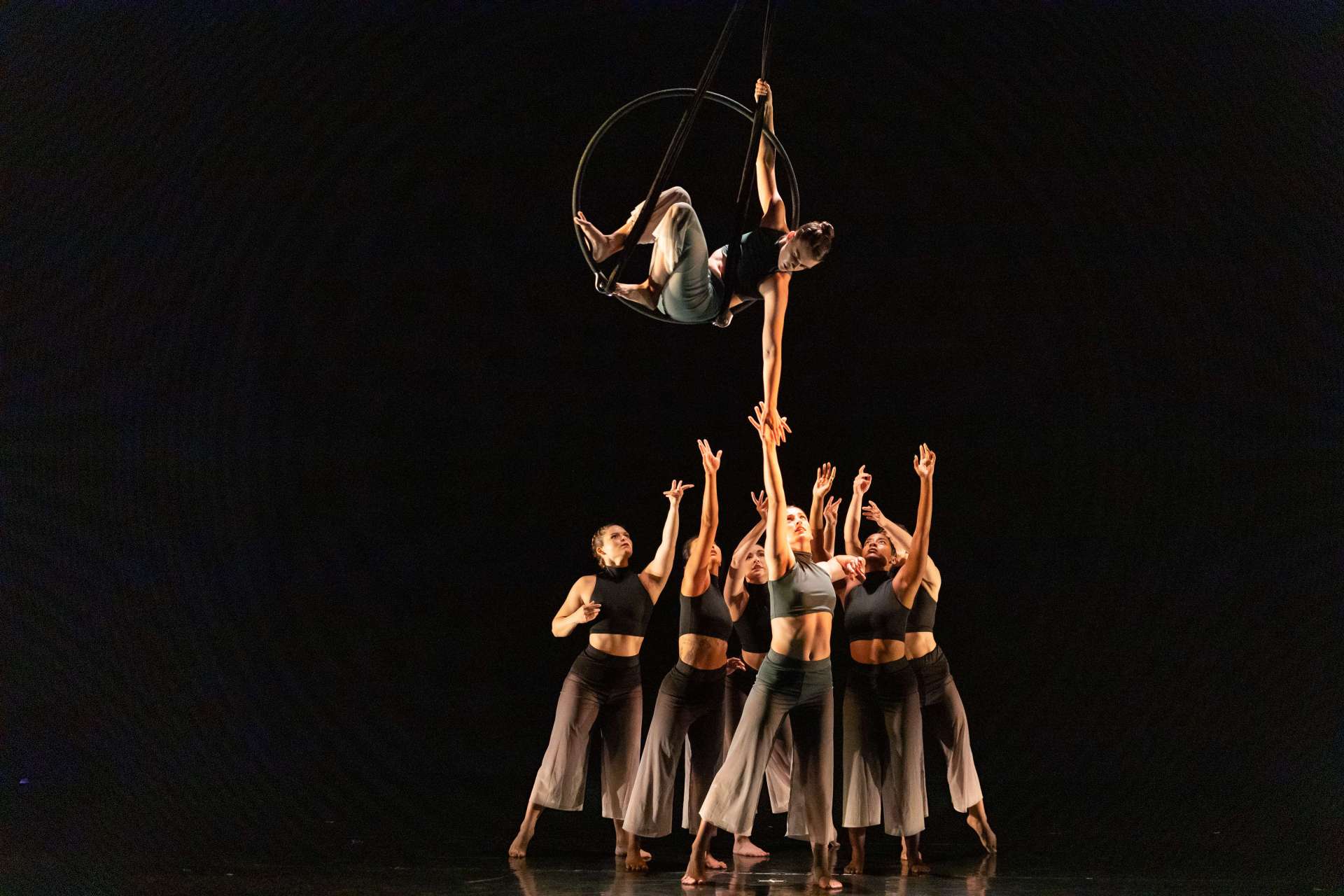 Aerial Aerial Dance Chicago promotional image 1